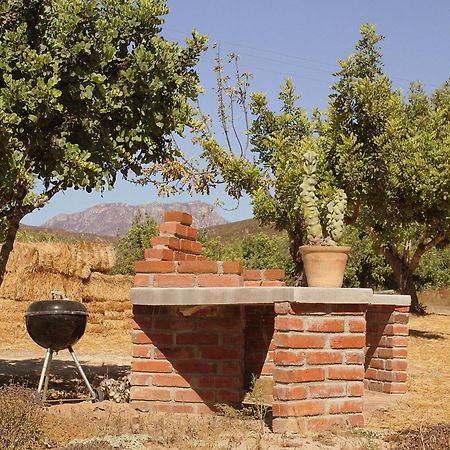Las Orquideas Valle de Guadalupe Eksteriør bilde