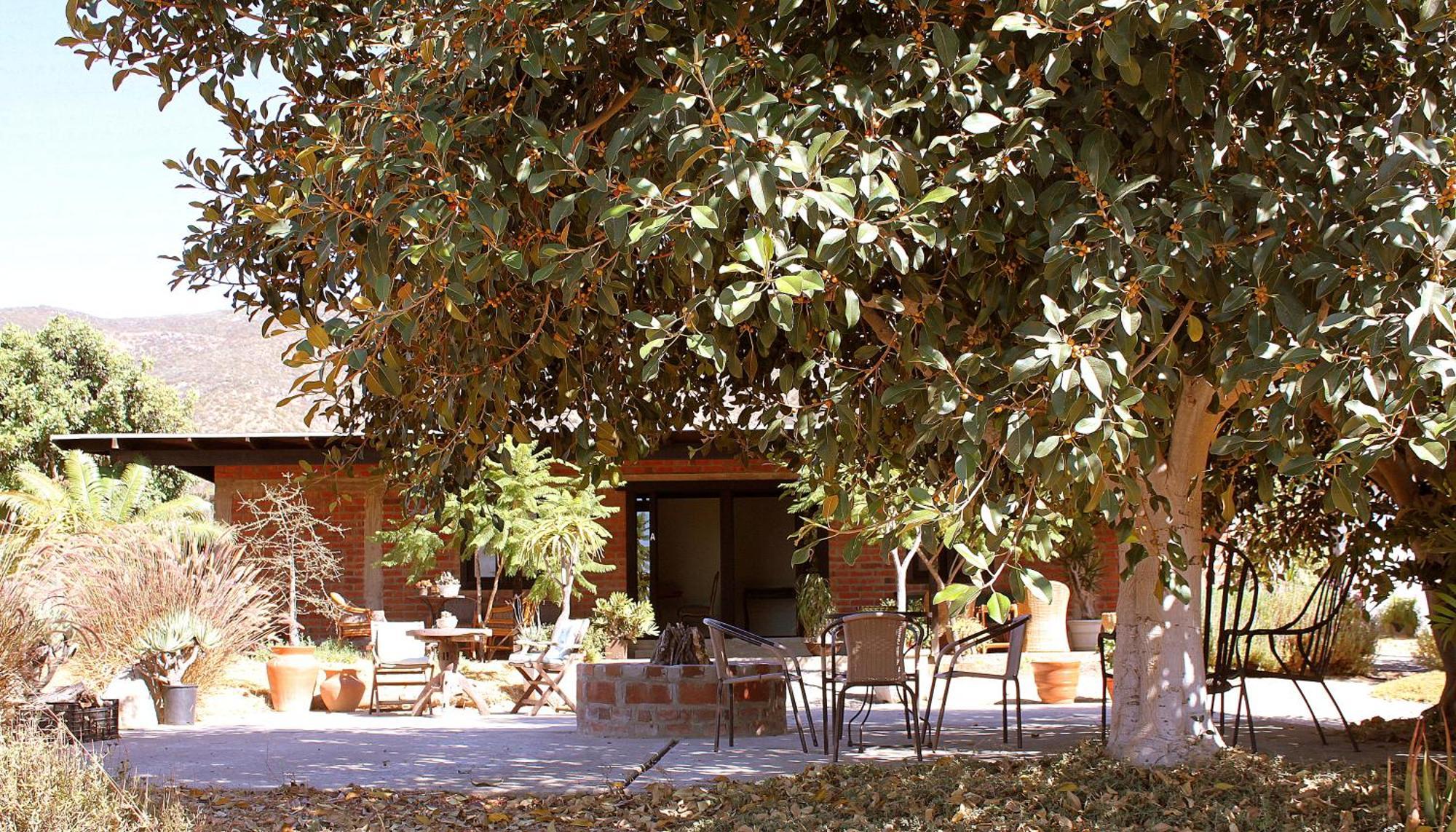 Las Orquideas Valle de Guadalupe Eksteriør bilde